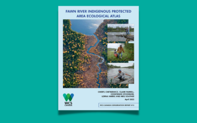 Fawn River IPA Ecological Atlas